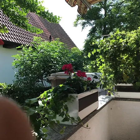 아파트 Laudenbach *